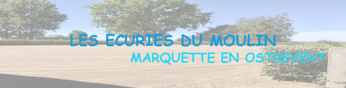 LES ECURIES DU MOULIN